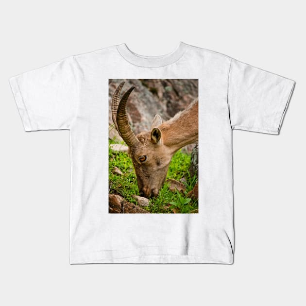 Ibex Kids T-Shirt by jaydee1400